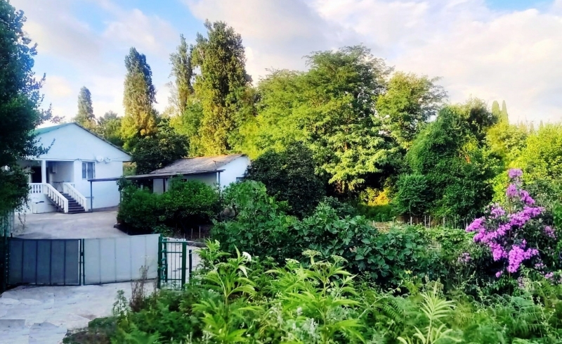 Дом жилой с садом 25 соток и море напротив!